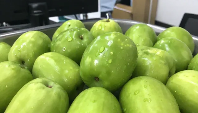 农资供应:货源稳定性常见问题与处理方法